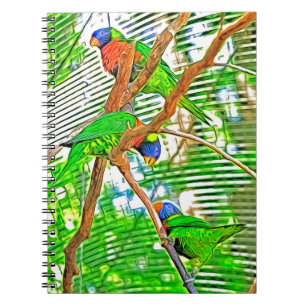 Carnet Loris coloré sur une branche - perroquets