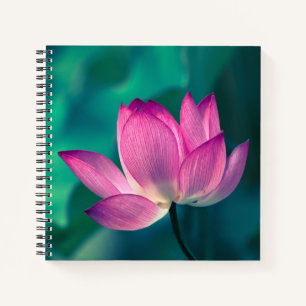 Carnet Lotus Water Lily Fleur