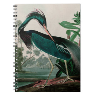 Carnet Louisiane Heron Birds of America Audubon Print