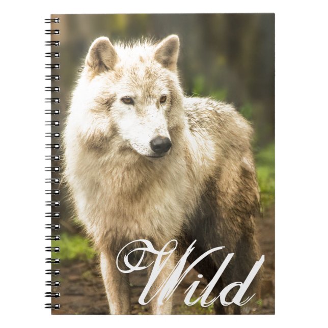 Carnet Loup de l'Arctique humide au printemps Photo (Devant)
