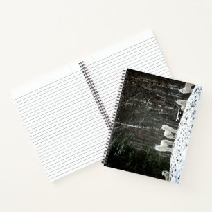 Carnet Loup polaire sauvage