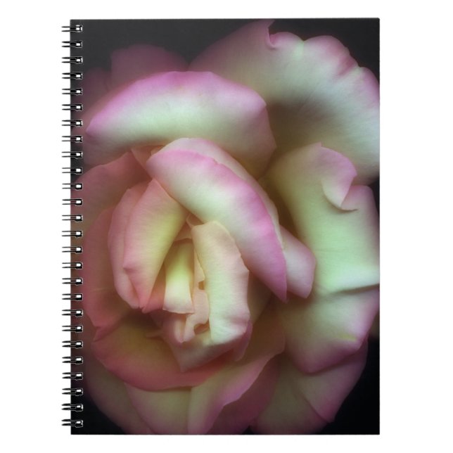 Carnet <Love is a Rose> par Nathan Griffith (Devant)