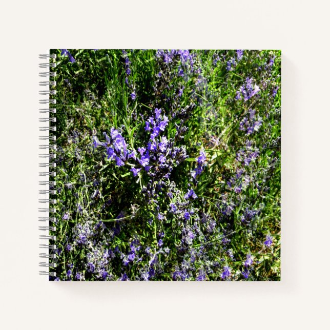 Carnet Loving Lavender..... (Devant)
