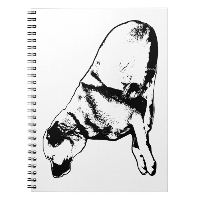 Carnet Loyal Shape Poise (Devant)