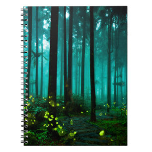 Carnet Luciole