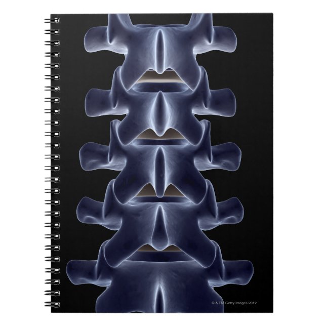 Carnet Lumbar Vertebra 2 (Devant)