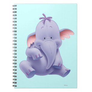 Carnet Lumière 1