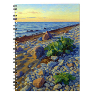 Carnet Lumière du soir sur la côte de Vormsi