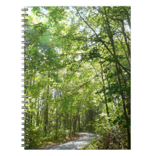 Carnet Lumière du soleil sur le chemin en bois au Centenn