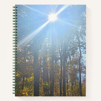 Carnet Lumière Solaire À Travers Les Arbres D'Automne Jou
