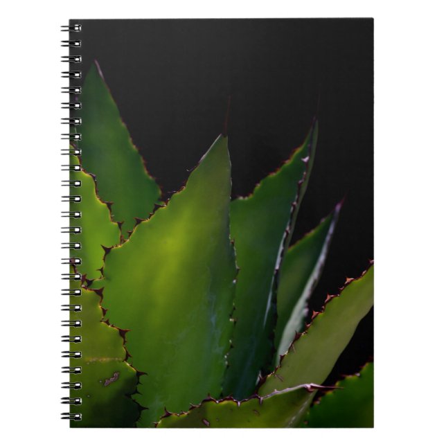 Carnet Luminosité de l'âge (Devant)