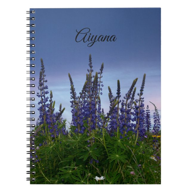 Carnet Lupins   (Devant)