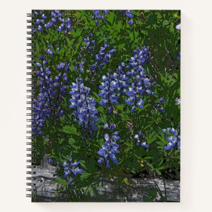 Carnet Lupins