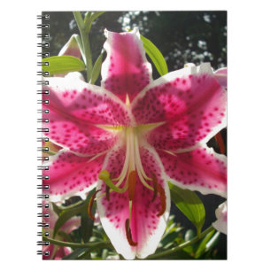 Carnet Lys roses fleurs tropicales roses rose
