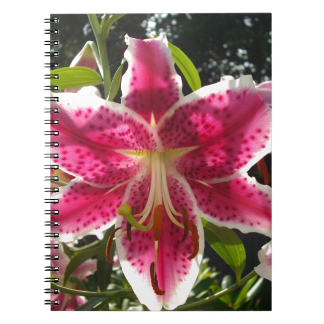 Carnet Lys roses fleurs tropicales roses rose (Devant)