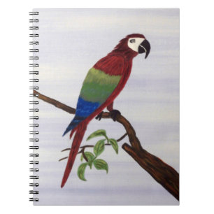 Carnet macaw, perroquet, nature, coucher de soleil, oisea