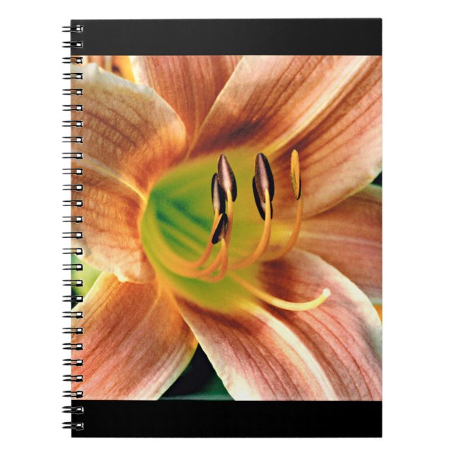 Carnet Macro Daylily (Devant)
