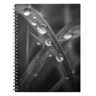Carnet Macro de lame de fond