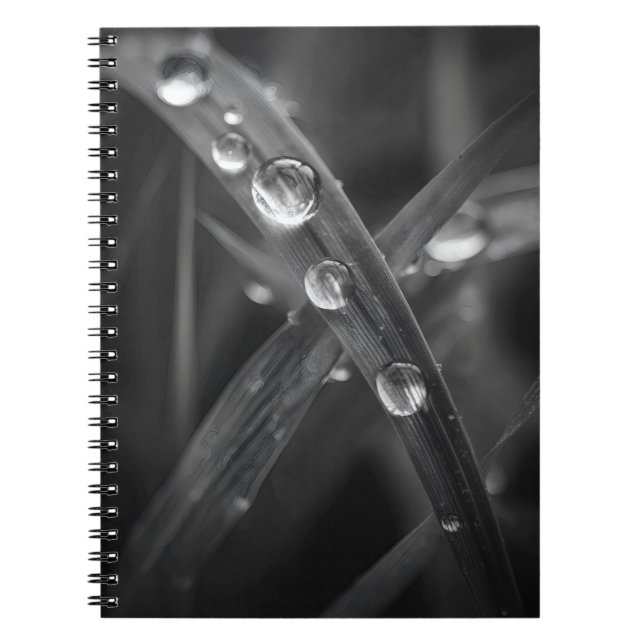 Carnet Macro de lame de fond (Devant)