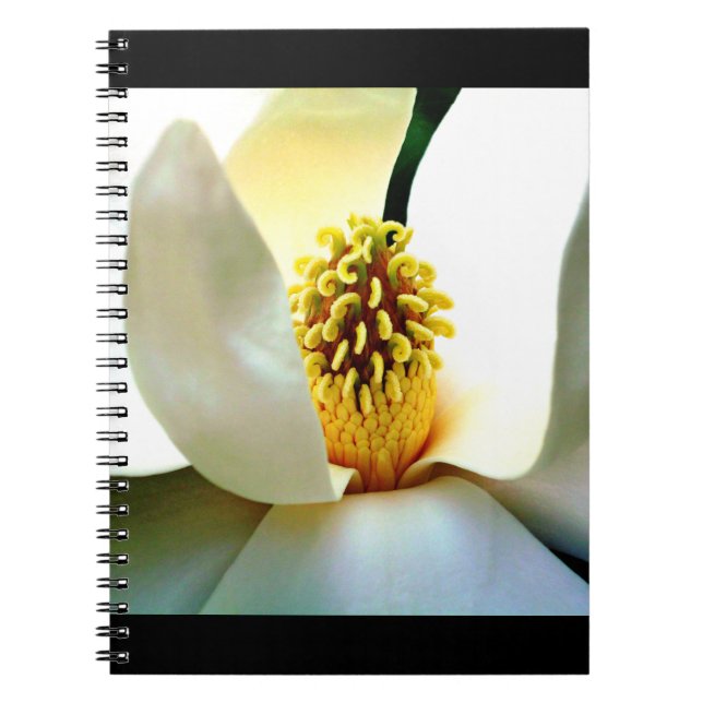 Carnet Macro Magnolia Bloom (Devant)