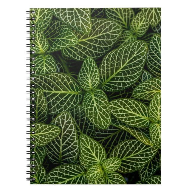 Carnet Macro photo de plantes à feuilles vertes (Devant)