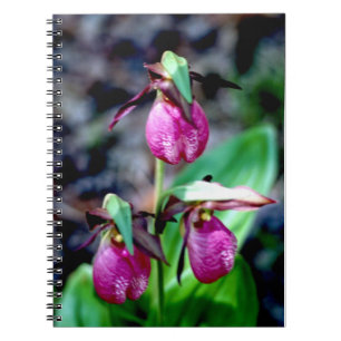 Carnet Madame pantoufle I, plaisir vert rose de jardin