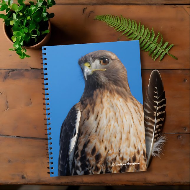 Carnet Magnifique Buse à queue rouge au soleil (Magnificent Red-Tailed Hawk in the Sun Journal Cover Photo 1)