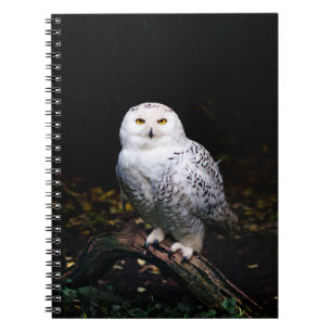 Carnet Magnifique harfang des neiges d'hiver