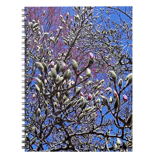 Carnet Magnolia, Masse de Bourgeons (Devant)