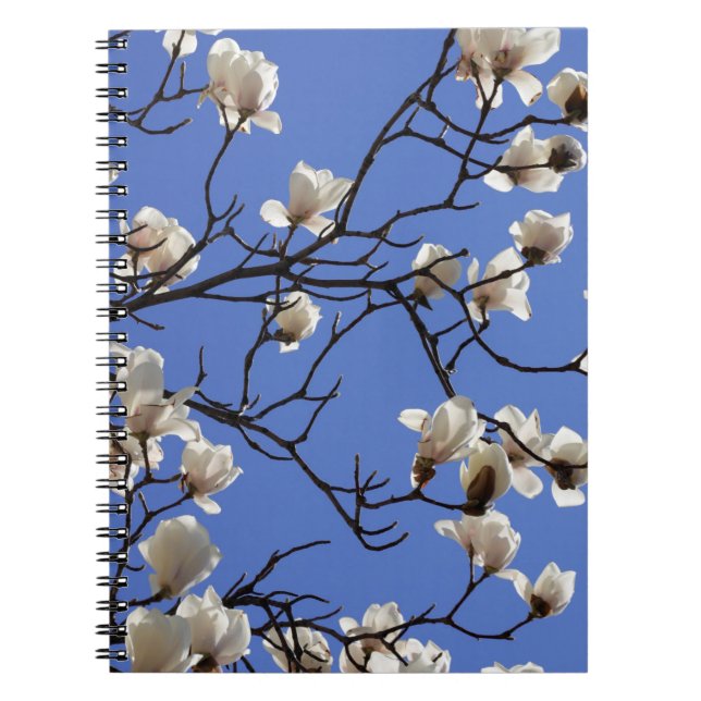 Carnet Magnolias florissants (Devant)