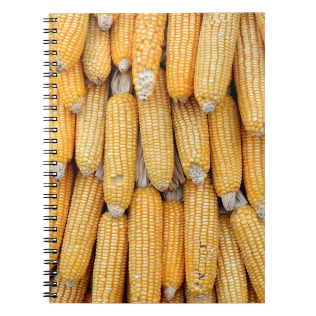 Carnet Maïs séché empilé. (Devant)