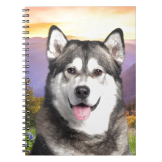 Carnet Malamute d'Alaska