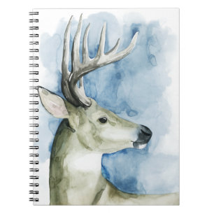 Carnet Mâle errant - aquarelle