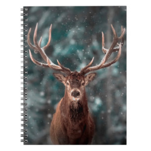 Carnet mâle noble de cerf dans la forêt de neige hivernal