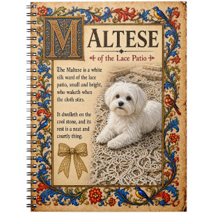 Carnet Maltais, Art de Bestiaire Médiéval