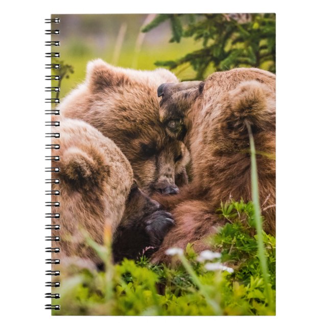 Carnet Mama bear nourrit ses deux petits, Lake Clark Nati (Devant)