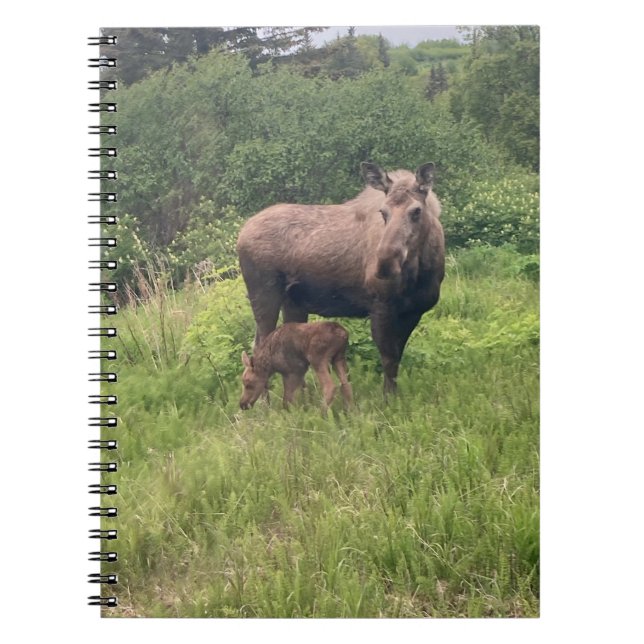 Carnet Maman et bébé orignal (Devant)