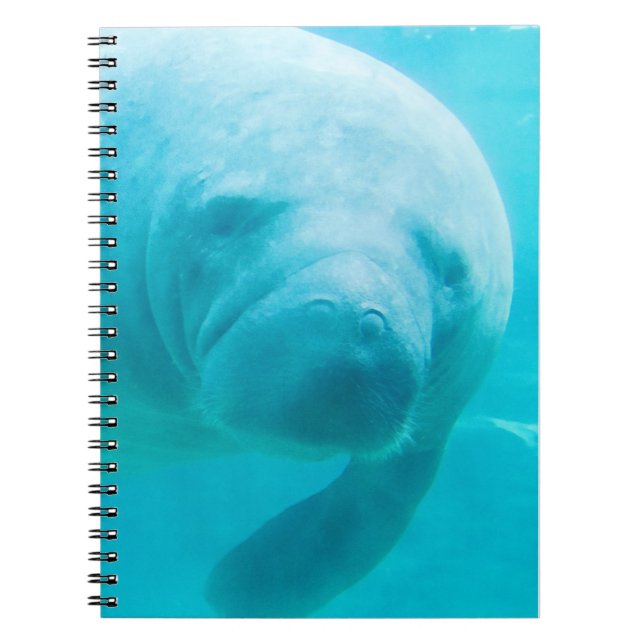 Carnet Manatee (Devant)