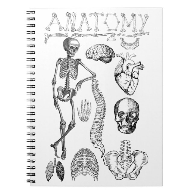 Carnet Manuel d'anatomie humaine pour notes (Devant)