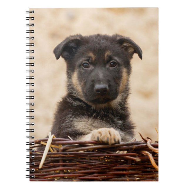 Carnet Marionnette allemande en panier (Devant)