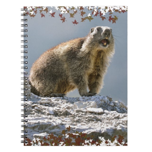Carnet Marmotte alpine dans cadre feuille (Devant)