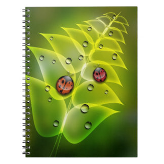 Carnet Matin de coccinelle