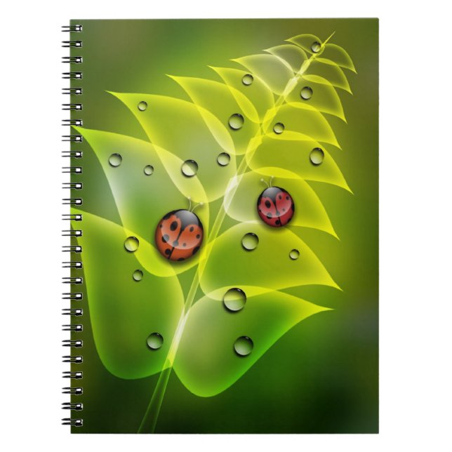 Carnet Matin de coccinelle (Devant)