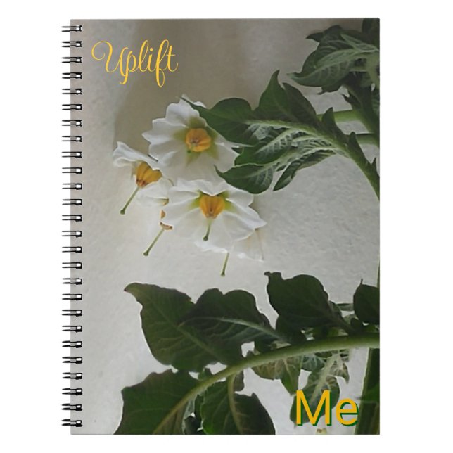 Carnet Me pousser (Devant)