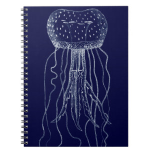 Carnet Méduses blanches et bleues