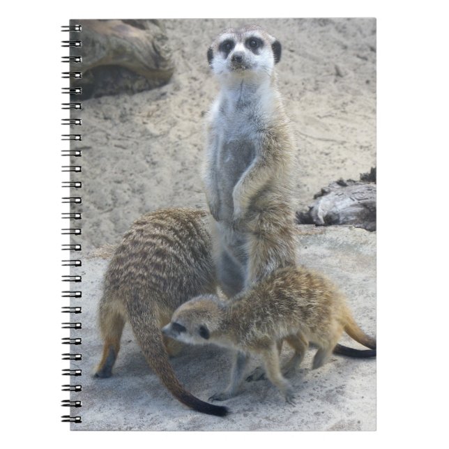 Carnet Meerkat (Devant)