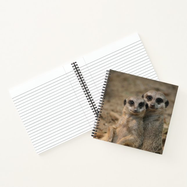 Carnet Meerkat 067 (Intérieur)