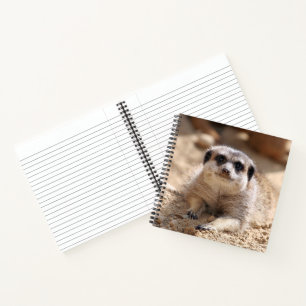 Carnet Meerkat 174