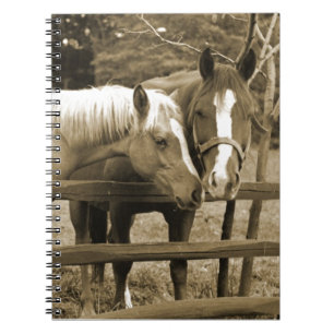 Carnet Meilleurs amis