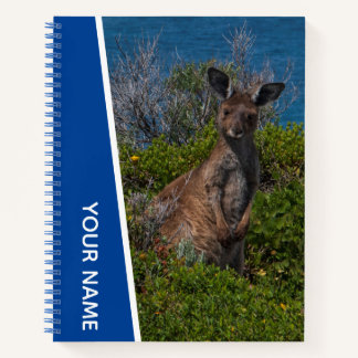 Carnet Mère Kangaroo en Australie, bleu personnalisé